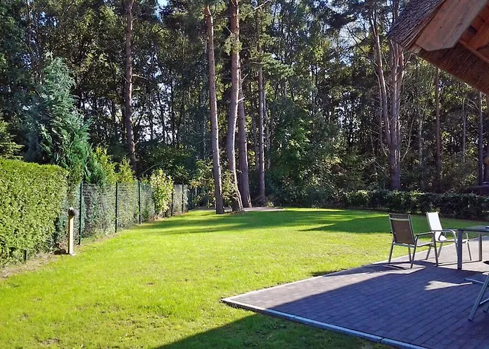 Rebecka Comfortable * غلوفي